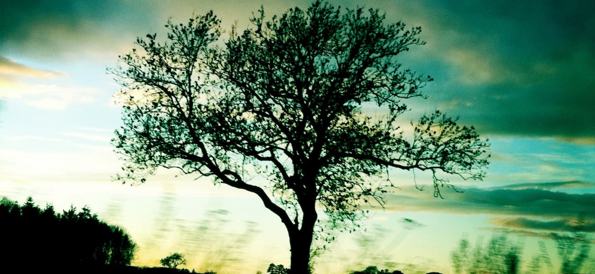 Parkview – Stream The&nbsp;Album