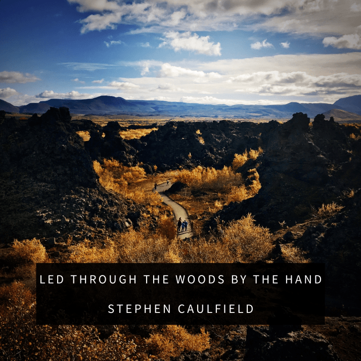 9 Led Through The Woods By The Hand